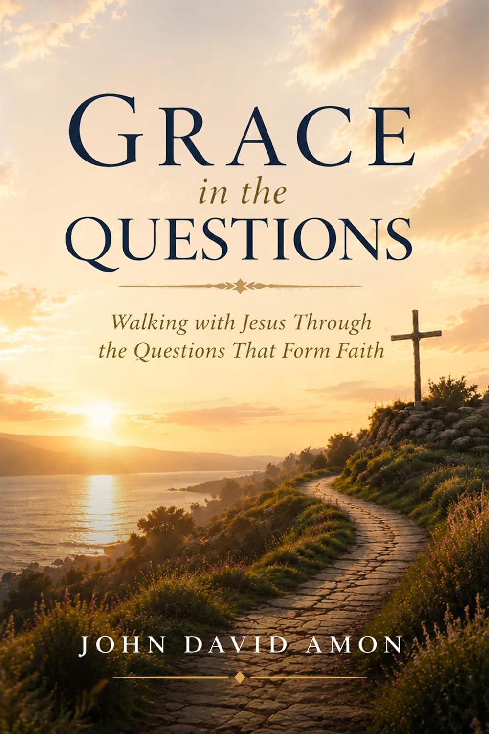 Grace in the Questions by John Davidson
